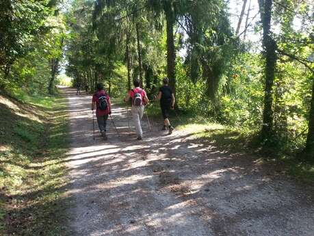 Boucle de Randonnée Nordique