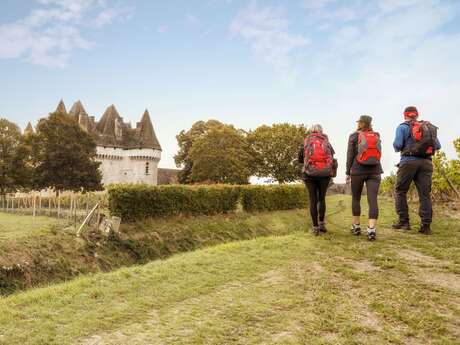 Point de vue sur la Dordogne bergeracoise / Monbazillac