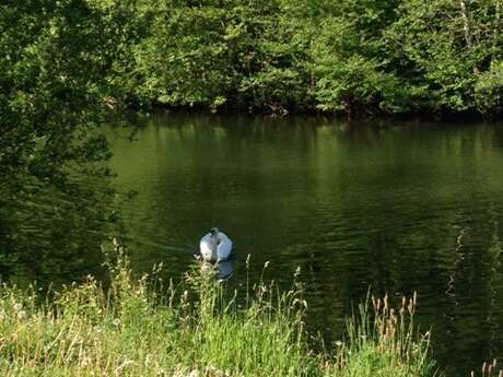 Voie verte des berges de L'isle