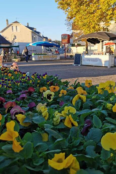 Foires et marchés à Lubersac (copie)