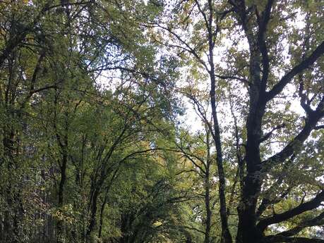 Boucle du Coustal à St Julien de Lampon